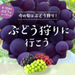 おすすめ【ぶどう狩り】スポット・プラン情報｜じゃらん遊び・体験予約